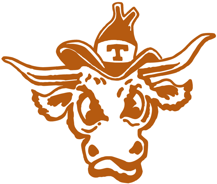 Texas Longhorns 1977-Pres Alternate Logo diy iron on heat transfer